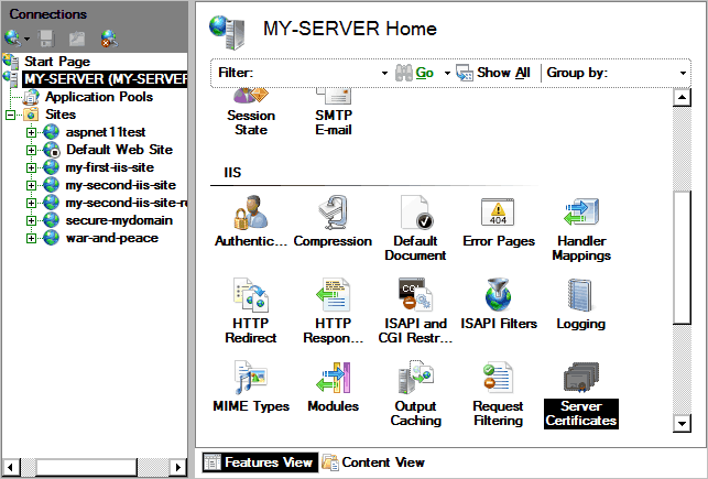 IIS Manager